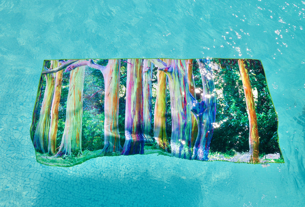 Rainbow Eucalyptus Tree Towel