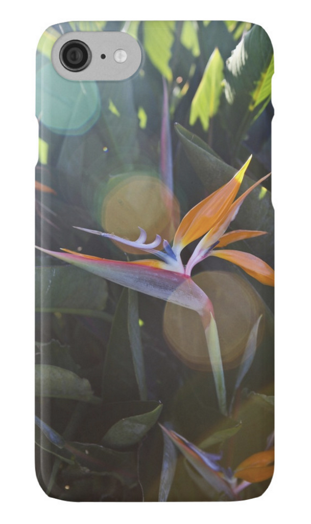 Sunny Bird of Paradise iPhone Case