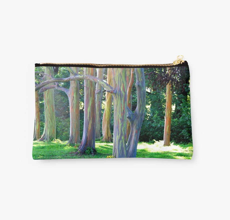 Rainbow Eucalyptus Trees Clutch