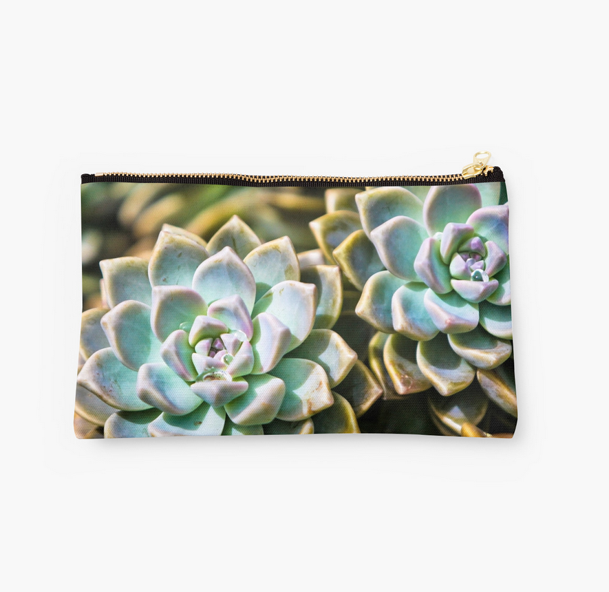 Succulents Clutch
