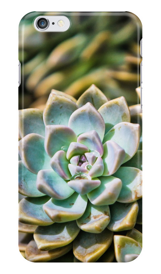 Succulent iPhone Case