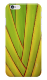 Travelers Palm iPhone Case