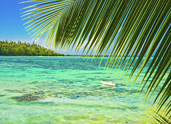 Moorea Dreaming - Art Print