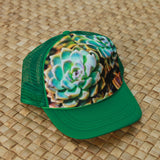 Succulent Hat