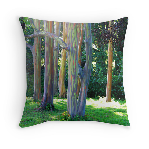 Rainbow Eucalyptus Pillow