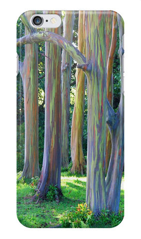 Rainbow Eucalyptus Trees iPhone Case