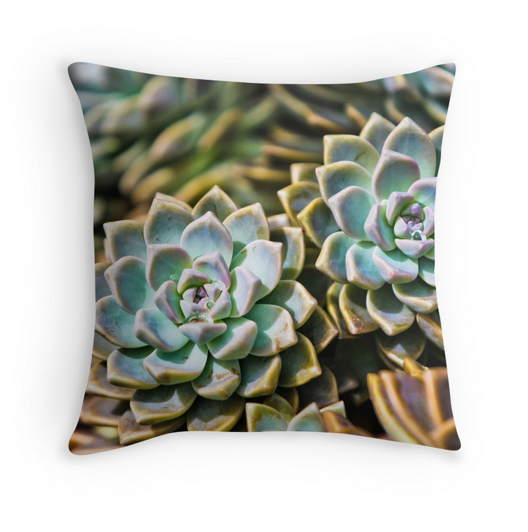 Succulents Pillow