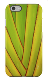 Travelers Palm iPhone Case