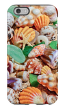 Seashells & Starfish iPhone Case