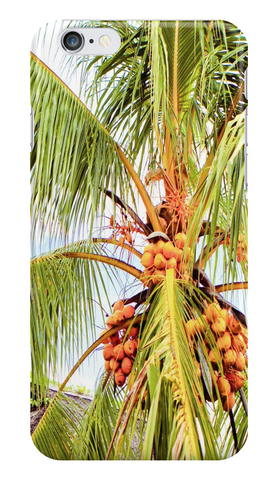 Tahitian Coconut Palms iPhone Case
