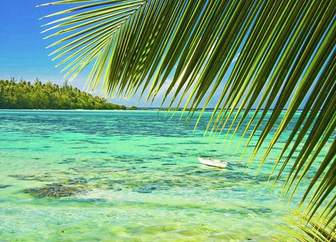 Moorea Dreaming - Art Print